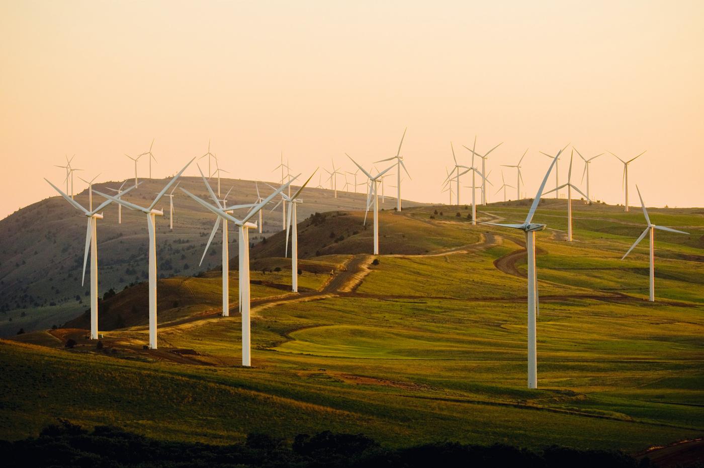 Der Platz in Windparks wird knapp.