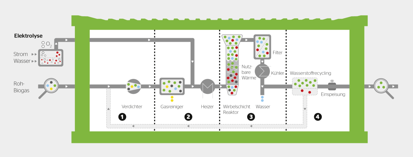 Schematische Darstellung der Methanisierungsanlage Cosyma: Das Rohbiogas wird von Spurenelementen wie Schwefel und Siloxanen gereinigt, die später bei der Verbrennung des Biomethans korrosiv wirken würden und den Methanisierungskatalysator beschädigen könnten. Das gereinigte Rohbiogas wird zusammen mit Wasserstoff durch den Wirbelschichtreaktor geleitet. Dabei reagiert das im Rohbiogas enthaltene CO2 mit Wasserstoff zu Methan und Wasser. Nach der Abtrennung von überschüssigem Wasser und Wasserstoff steht das Biomethan zur Einspeisung ins Gasnetz bereit.