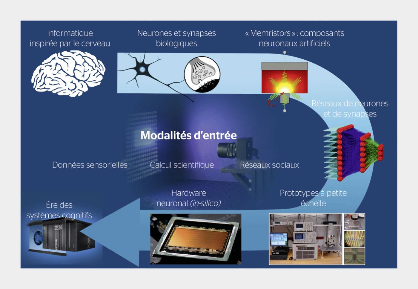 <strong>Figure 1</strong> S’inspirant du fonctionnement interne du cerveau biologique, les ordinateurs neuromorphiques sont des systèmes construits à partir de neurones et de synapses artificiels connectés sous forme de réseau.