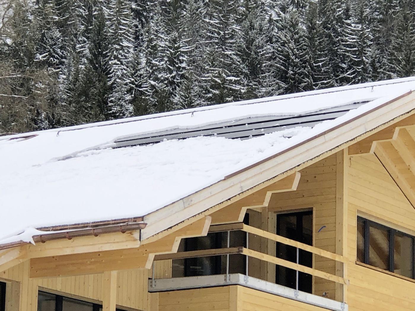 Une fonction supplémentaire utile: en hiver, la partie thermique du module PVT peut être utilisée pour faire fondre la neige.