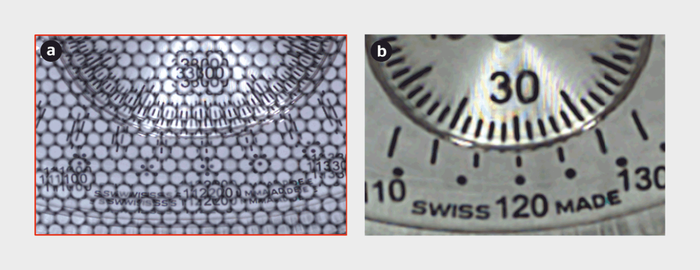 a) 2D-Rohbild mit den runden Mikrolinsen, b) Rekonstruiertes Bild mit Tiefeninformation.