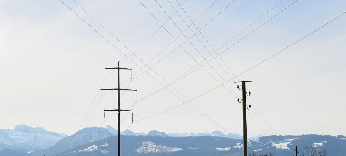 Figure: Radomír Novotný