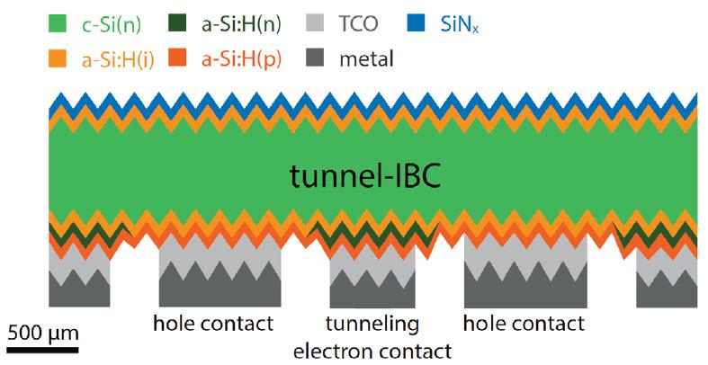 Schéma de principe. La couche positive recouvre tout l’arrière de la cellule, définissant le contact positif («hole contact») tout en conservant le contact négatif («tunneling electron contact»).