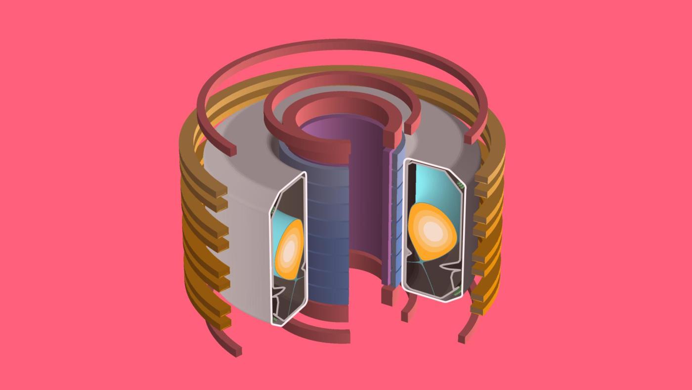 Modèle 3D de la chambre à vide du TCV contenant le plasma, entourée de diverses bobines magnétiques pour maintenir le plasma en place et affecter sa forme.