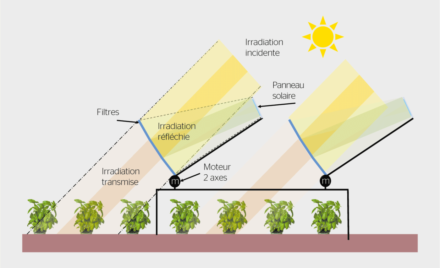 <b>Figure 2</b> Schéma du filtrage spectral pour les systèmes incluant trois filtres par panneau solaire. Ces systèmes sont montés sur un moteur 2 axes qui permet de les orienter vers le soleil. L’irradiance transmise par les filtres est utilisée pour la photosynthèse des cultures, tandis que l’irradiance réfléchie est concentrée sur le panneau photovoltaïque.