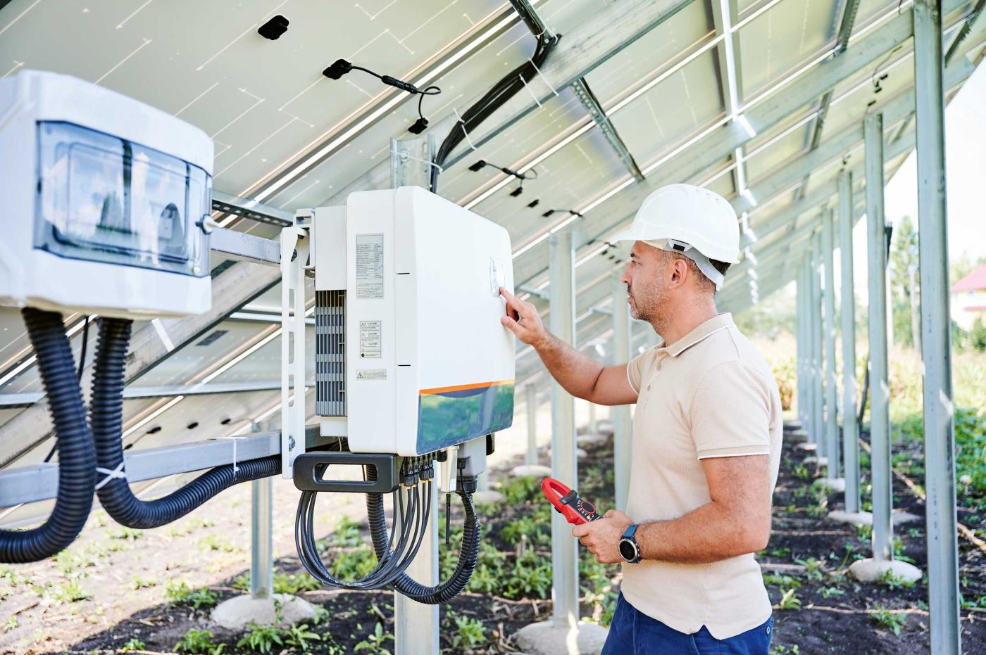 Bild:  Shutterstock