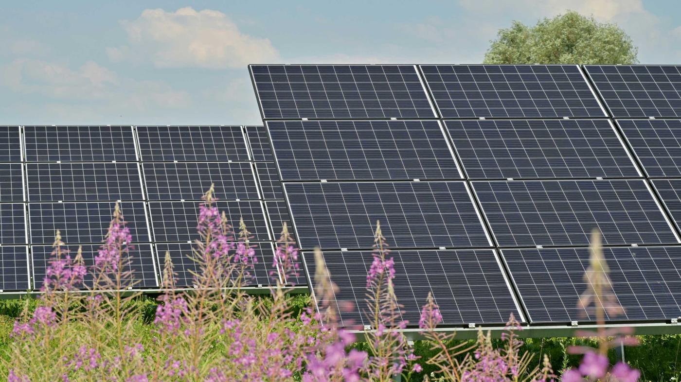 Figure: unsplash/Andres Siimon