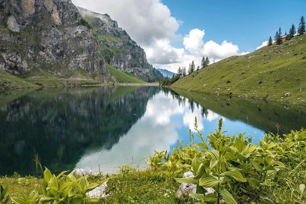 Wasserkraft: Volltreffer ins Zieldreieck