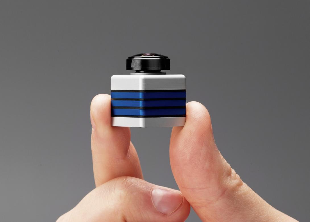 Tiny brother is watching you!