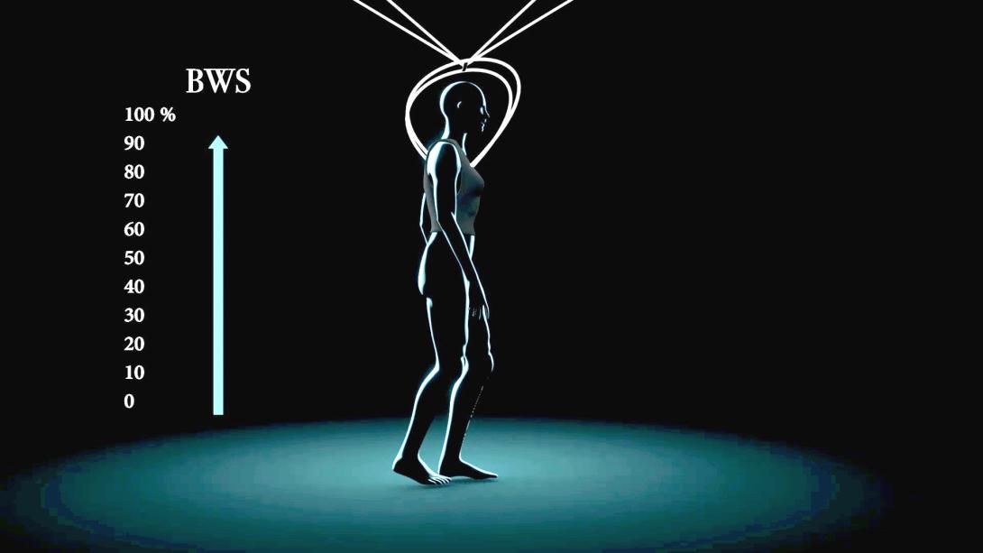 Un harnais qui améliore la réhabilitation