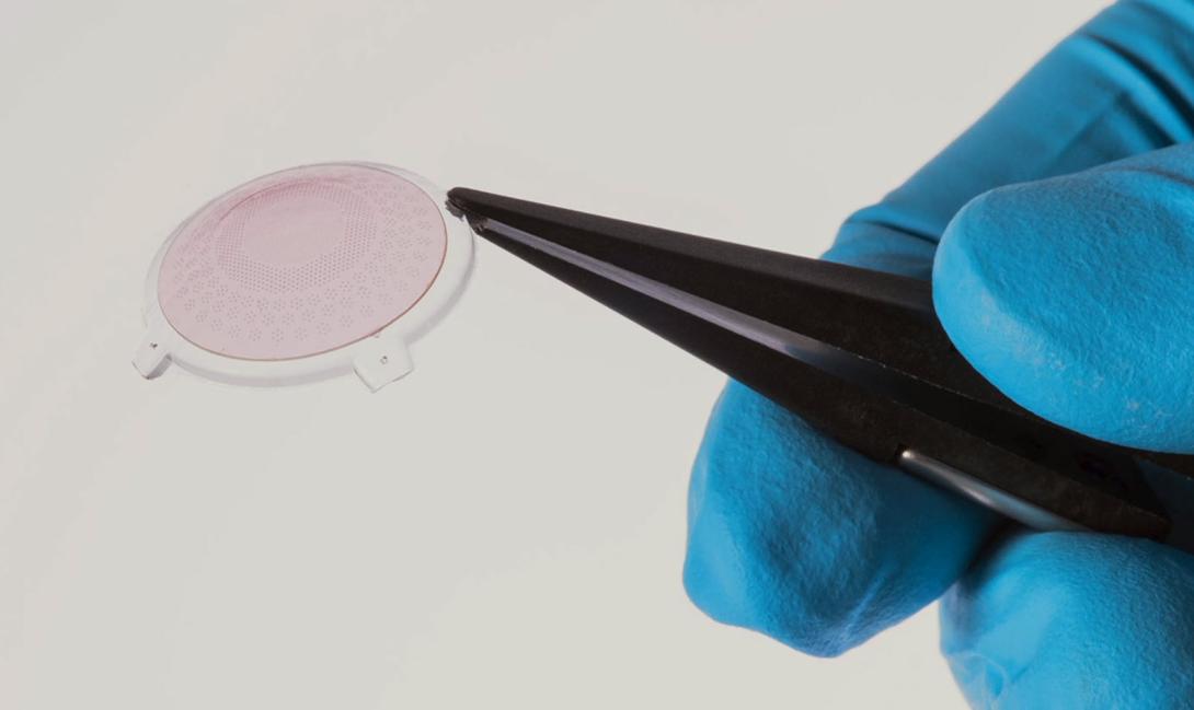 Une prothèse rétinienne plus efficace