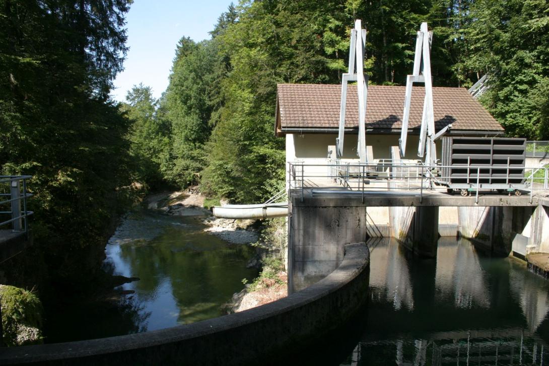 Neues Fischleitsystem beim Kraftwerk Herrentöbeli