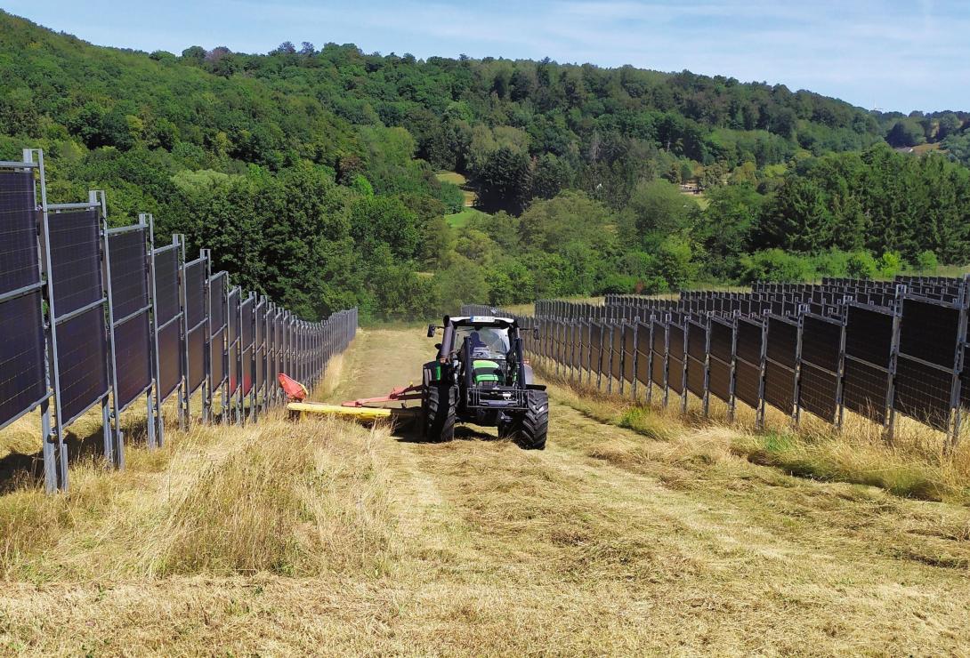 Agri-PV-Systeme in der Schweiz